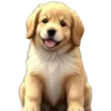 Lindos cachorros💞1🇵🇪Clásica 28