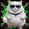 Gatito Blanco💞2🇵🇪Movi 28