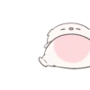 BABY PIG 27