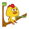 Chicken🐥Mov 23