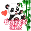 Buenos dias