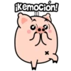 ¡Kemocion!