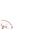 BABY PIG 29