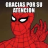 EL HOMBRE K ARAÑA MOV 26