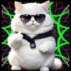 Gatito Blanco💞2🇵🇪Movi 30