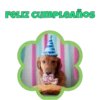 FELIZ CUMPLEAÑOS