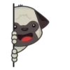 Animated Animals 7