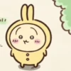 🧿chiikawa4 🐰🐻‍❄️🐱🐱 5