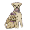 perritos amorosos  mov 6