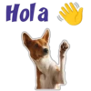 Hola