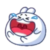 🫨🐇CUTE RABBIT🐰🫣 9
