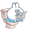 🫨🐇CUTE RABBIT🐰🫣 10