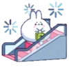 🫨🐇CUTE RABBIT🐰🫣 12
