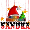 Nombres(Navidad)🎄💞1🇵🇪Movi 8