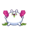 🫨🐇CUTE RABBIT🐰🫣 13