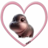 Hipopótamo Cute ✺1🇻🇪Mov 9