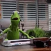 Peggy y René🐷🐸1🇲🇽Movi 9