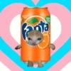 🌈😺Gatito Glotón✨ 6