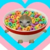 🌈😺Gatito Glotón✨ 7