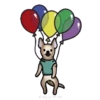 perritos amorosos  mov 15