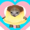 🌈😺Gatito Glotón✨ 9