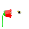 Flowers- @cocopry 9