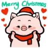Merry Christmas 1💖 MOV 13