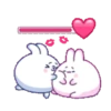 🫨🐇CUTE RABBIT🐰🫣 17