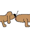Animated Animals 18