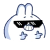 🫨🐇CUTE RABBIT🐰🫣 18