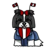 perritos amorosos  mov 17