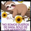 Verando "NO SOMOS DUEÑOS DE NADA, SOLO DE LOS MOMENTOS."