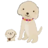 🐶💕happy puppies💕🐶 21