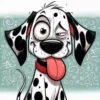Cachorro louco 22