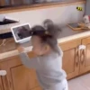 ˁ῁̮ˀreacciones de niños ˁ῁̮ˀ 17