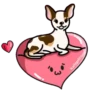 perritos amorosos  mov 18