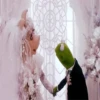 Peggy y René🐷🐸1🇲🇽Movi 18