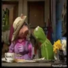 Peggy y René🐷🐸1🇲🇽Movi 19
