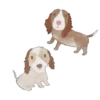 🐶💕happy puppies💕🐶 24