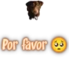 Por favor