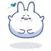 🫨🐇CUTE RABBIT🐰🫣 21
