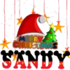Nombres(Navidad)🎄💞1🇵🇪Movi 22