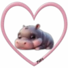 Hipopótamo Cute ✺1🇻🇪Mov 19