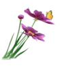 Flowers- @cocopry 13