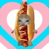 🌈😺Gatito Glotón✨ 15