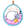 🫨🐇CUTE RABBIT🐰🫣 22