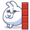 🫨🐇CUTE RABBIT🐰🫣 25
