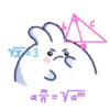 🫨🐇CUTE RABBIT🐰🫣 26