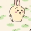 🧿chiikawa4 🐰🐻‍❄️🐱🐱 28