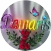 Damaris